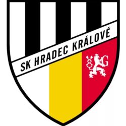 FC Hradec Králové Reboot: Novým strůjcem obrody klubu je David Horejš